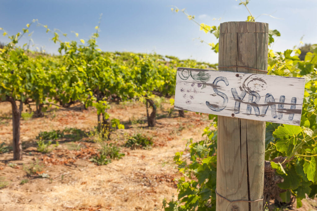 Drone, Vineyard, Sunset, Road Sign Set