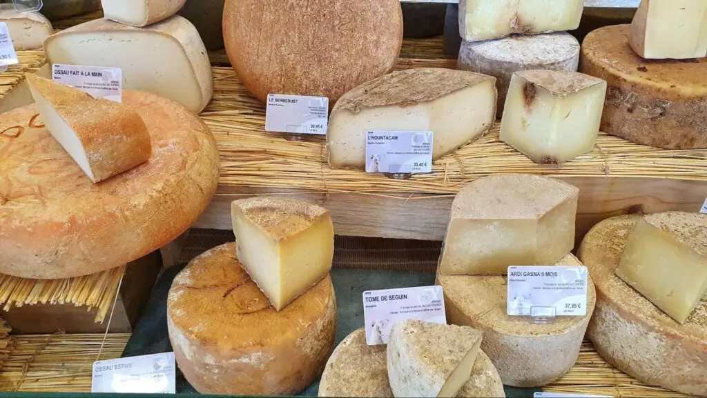 Variaty of French Hard cheeses