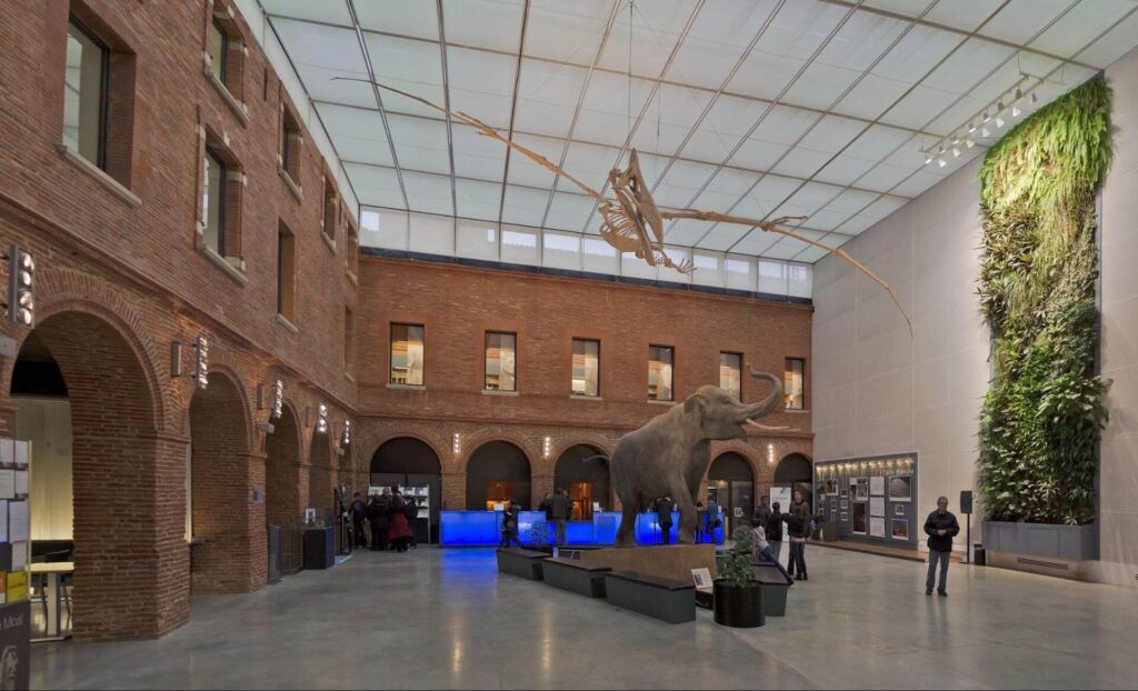 Hall d'entrée du Muséum de Toulouse