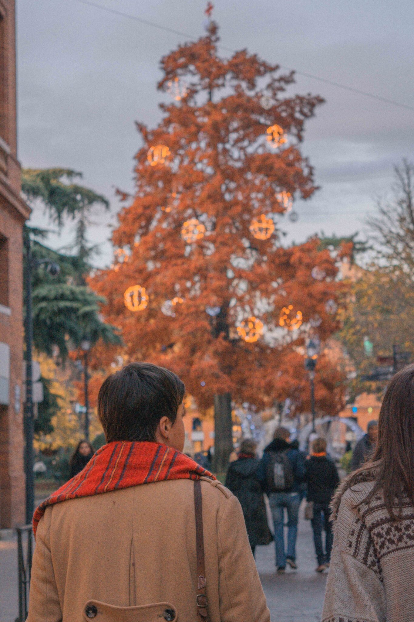 What To Do in Toulouse at Christmas | taste of toulouse